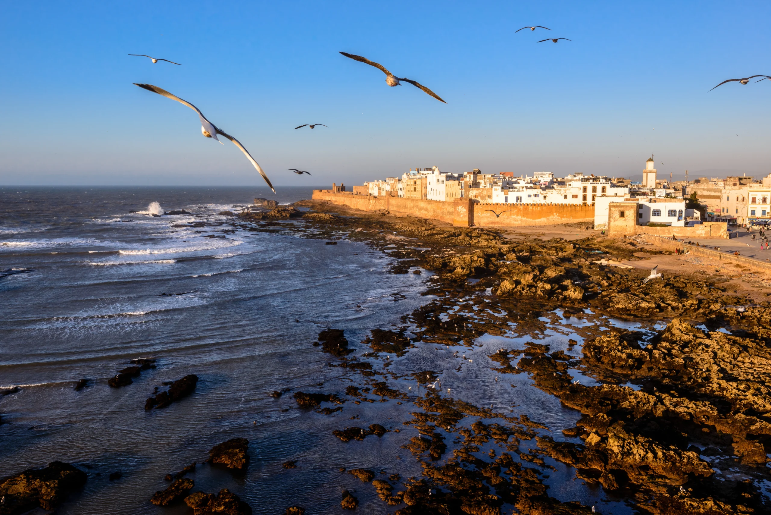 Taxi Transfer Essaouira Mogador seulment à 60€ Totale payé